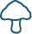 Chaga icon