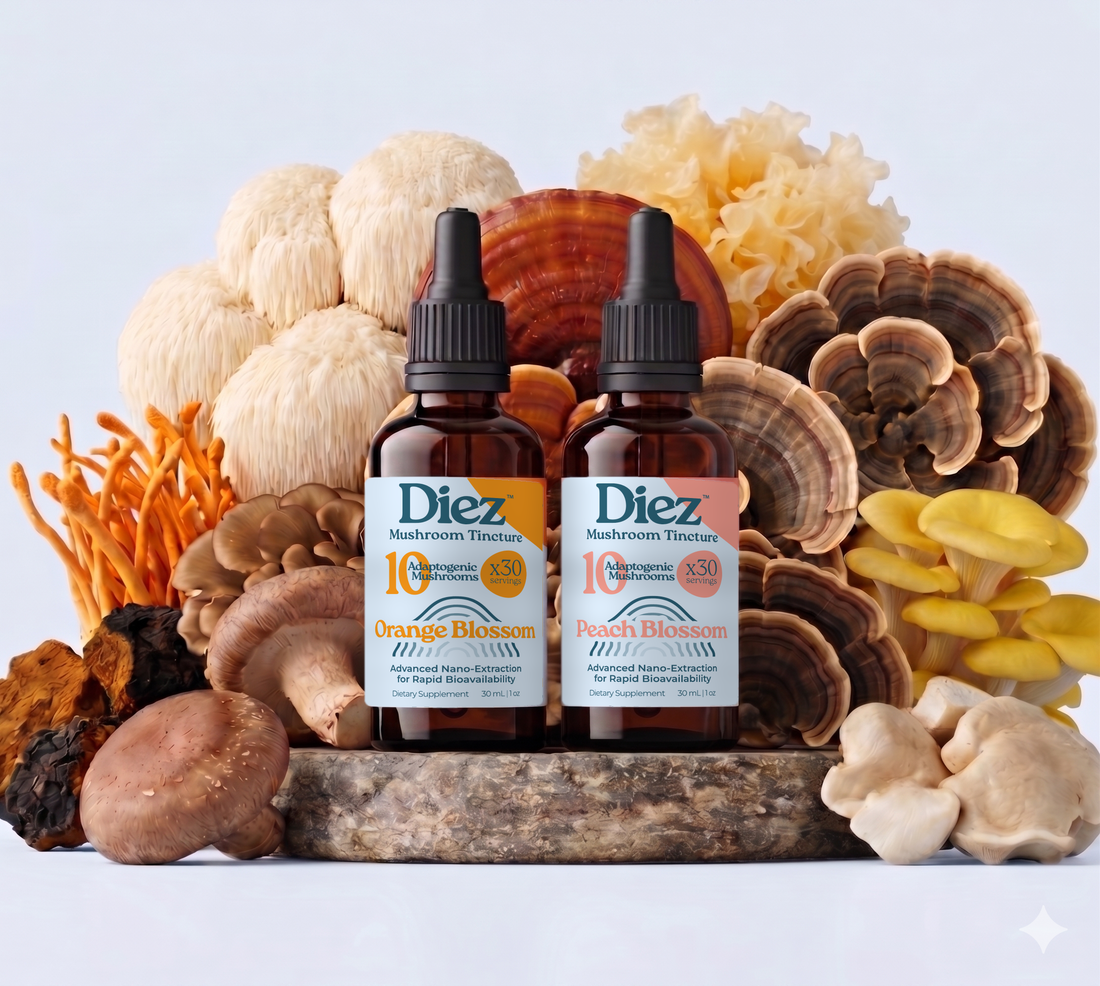 Diez Two Pack Bundle