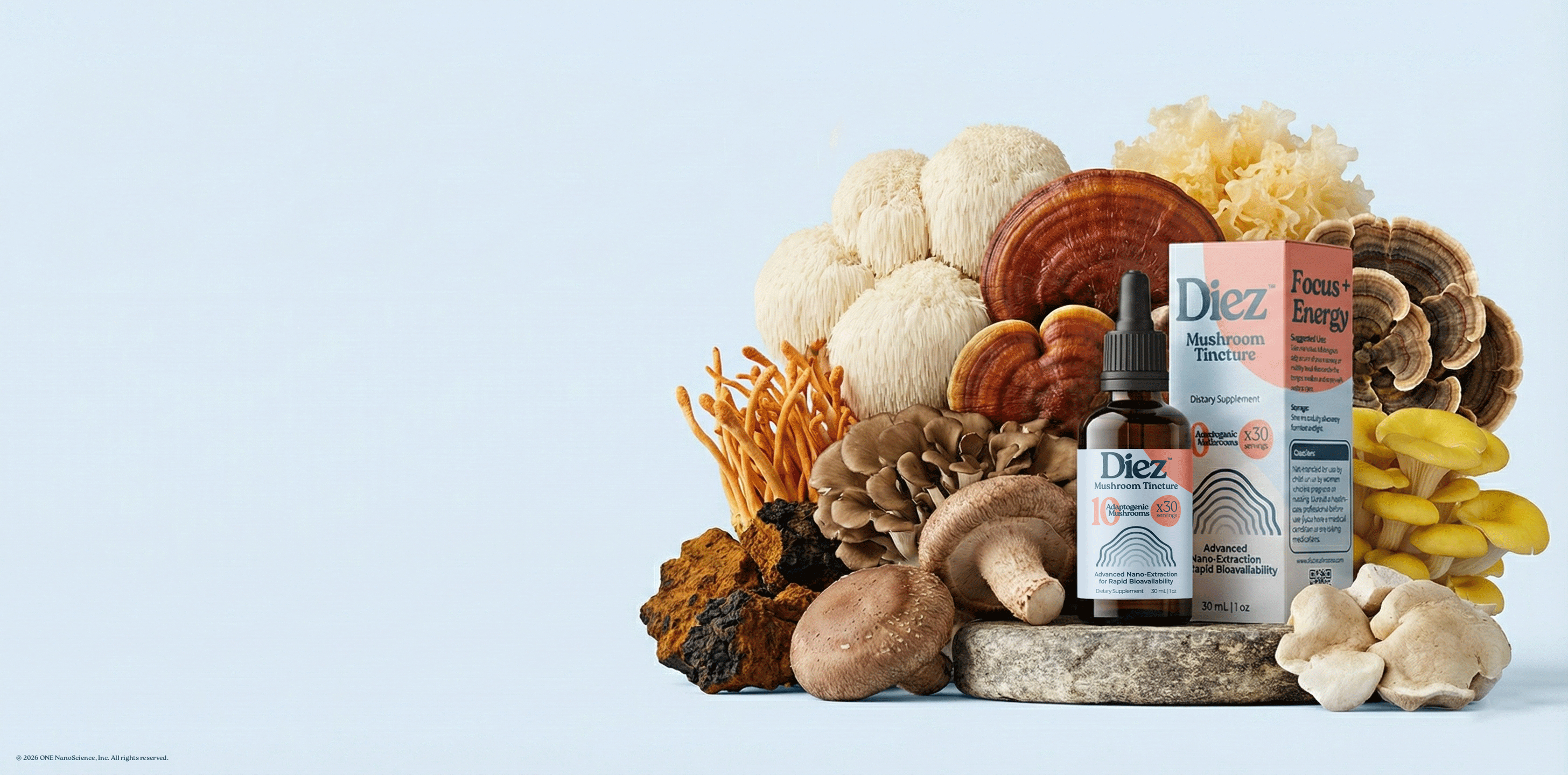 A bouquet of mushrooms behind a Diez Tincture bottle and box. 