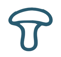 100% Fruiting Body Extracts