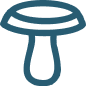 Golden Oyster icon